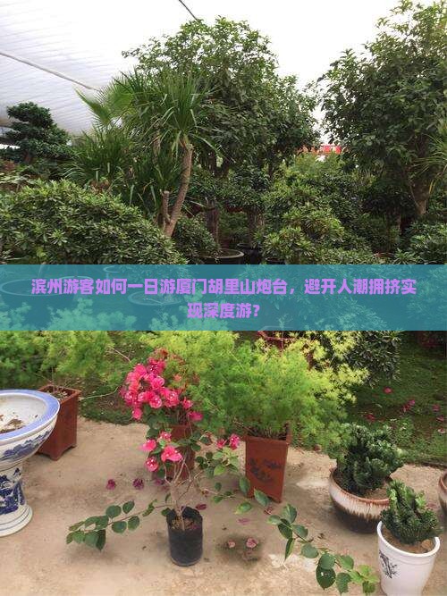 滨州去厦门胡里山炮台一日