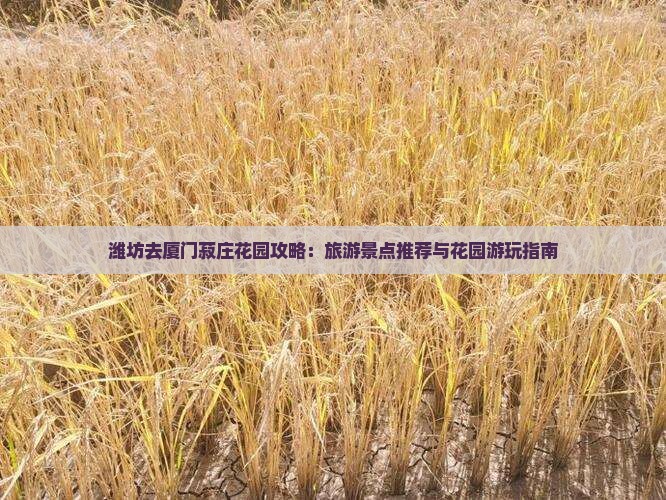 潍坊去厦门菽庄花园哪里玩
