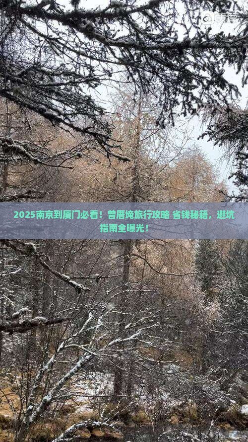 南京到厦门曾厝埯旅行社
