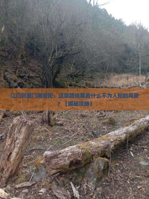 江门到厦门南普陀旅游