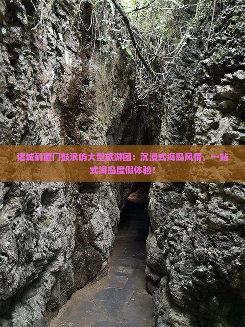 诸城到厦门鼓浪屿大型旅游团