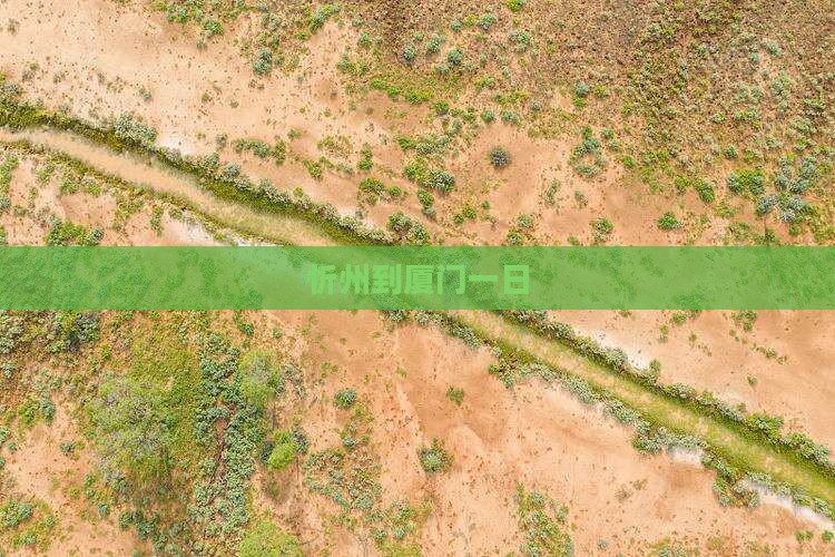 忻州到厦门一日