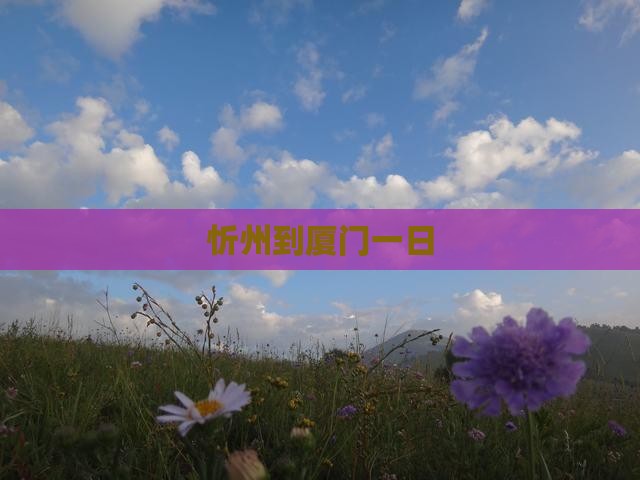 忻州到厦门一日