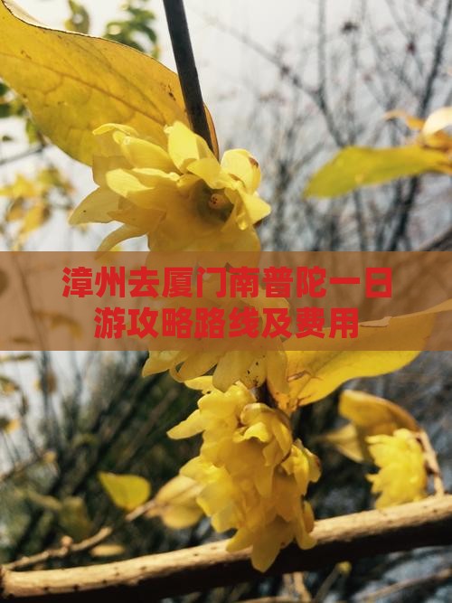 漳州去厦门南普陀一日