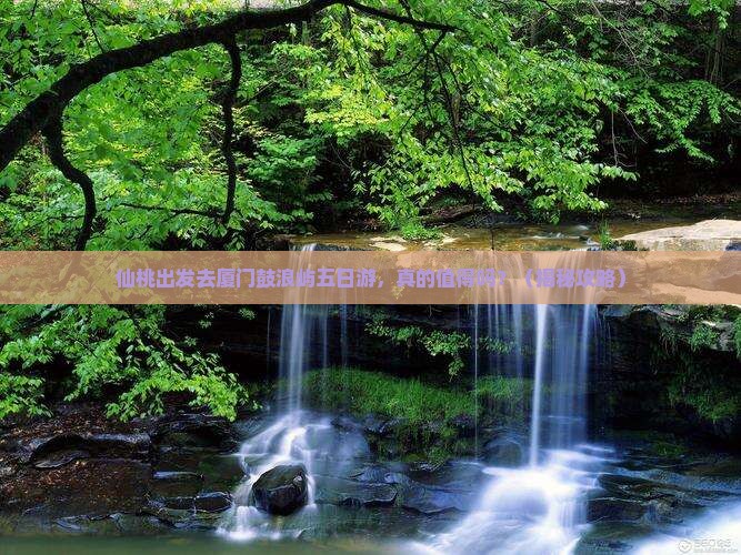 仙桃去厦门鼓浪屿五日游