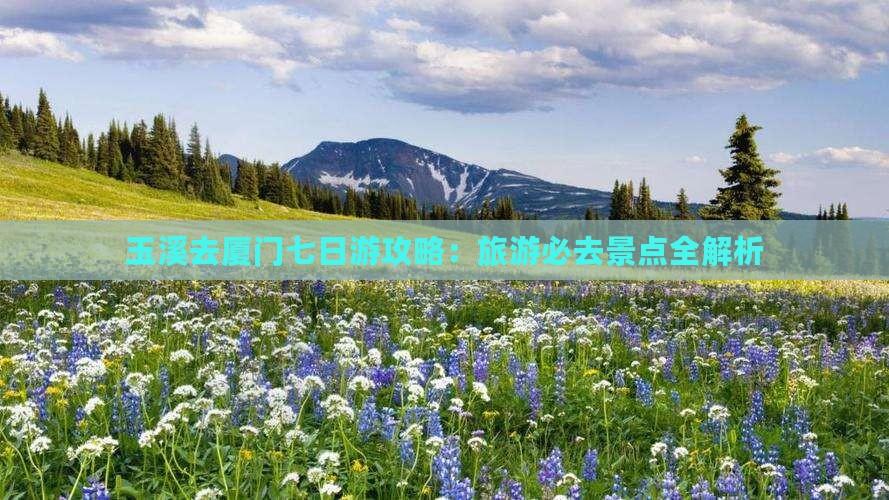 玉溪去厦门七日游