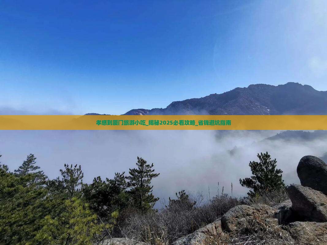 孝感到厦门旅游小吃