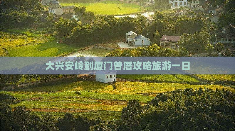 大兴安岭到厦门曾厝埯一日