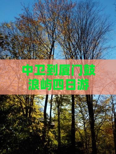 中卫到厦门鼓浪屿四日游