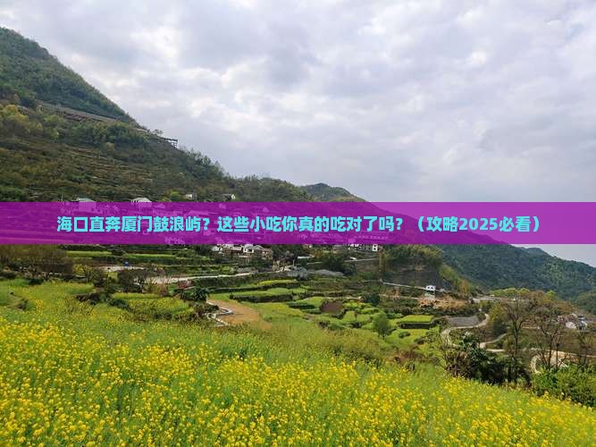 海口去厦门鼓浪屿旅游小吃