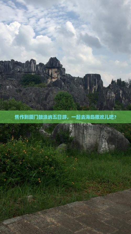 焦作去厦门鼓浪屿五日游