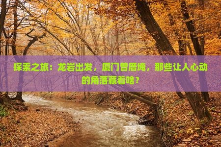 龙岩到厦门曾厝埯景点