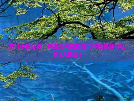 阿里去厦门怀远楼旅行社