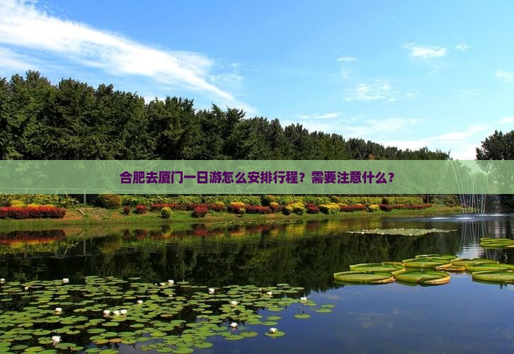 合肥去厦门一日