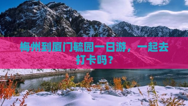梅州去厦门毓园一日