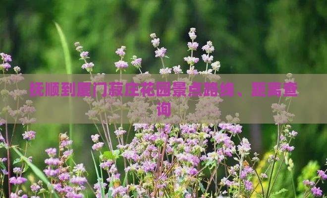 抚顺到厦门菽庄花园景点