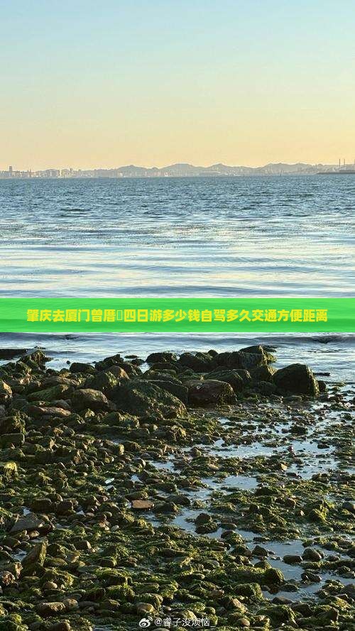 肇庆去厦门曾厝埯四日游