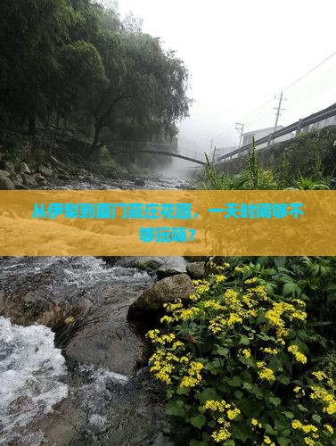 伊犁去厦门菽庄花园一日