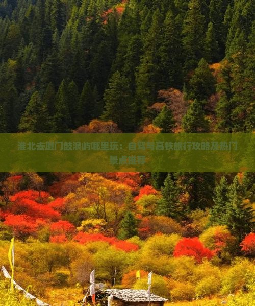 淮北去厦门鼓浪屿哪里玩