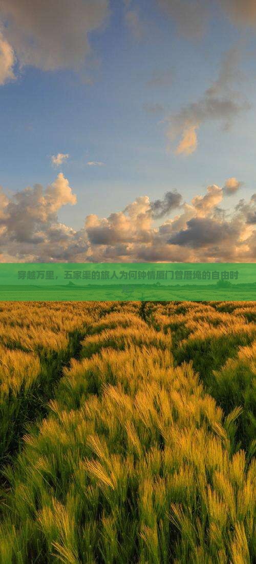 五家渠到厦门曾厝埯自由团