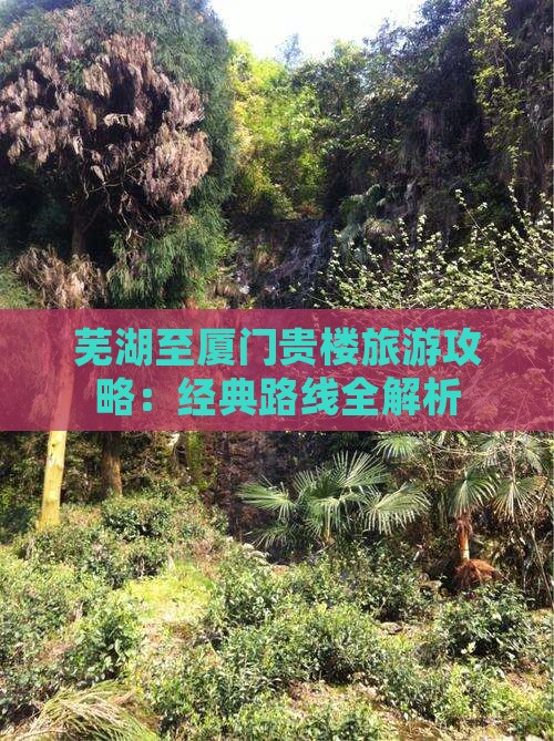 芜湖去厦门和贵楼旅游