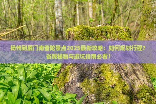 扬州到厦门南普陀景点