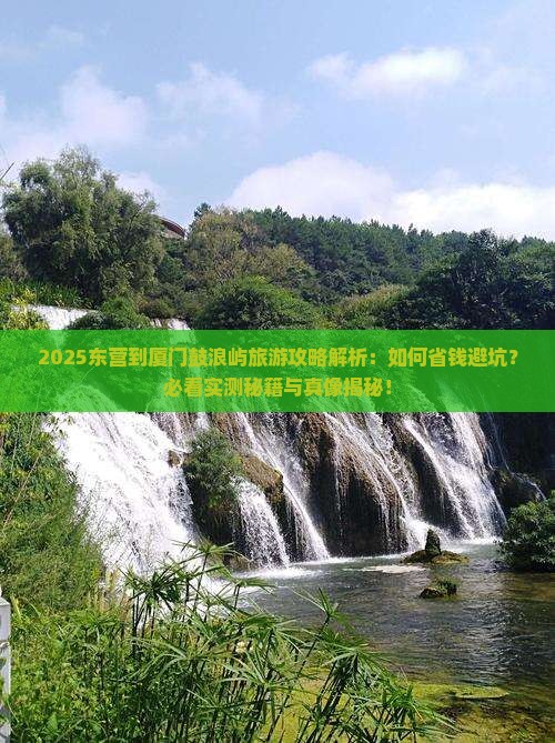 东营到厦门鼓浪屿旅游