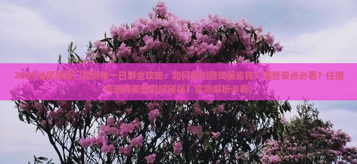 汕尾到厦门和贵楼一日