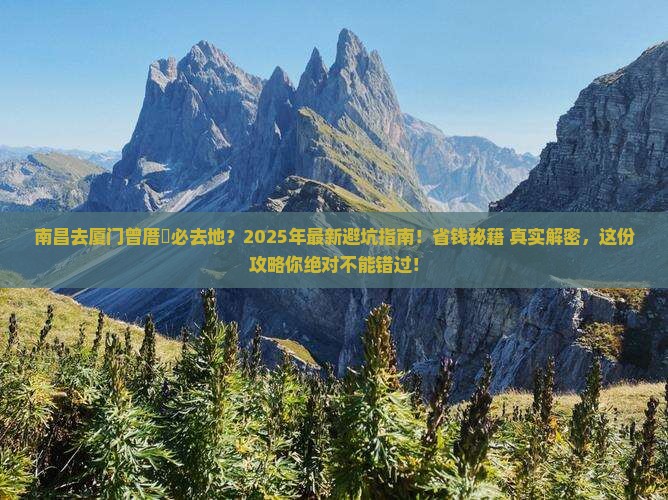 南昌去厦门曾厝埯必去地