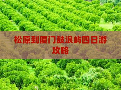 松原到厦门鼓浪屿四日游