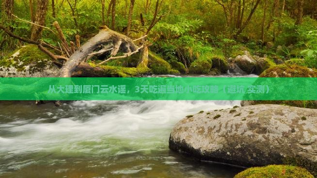 大理去厦门云水谣旅游小吃