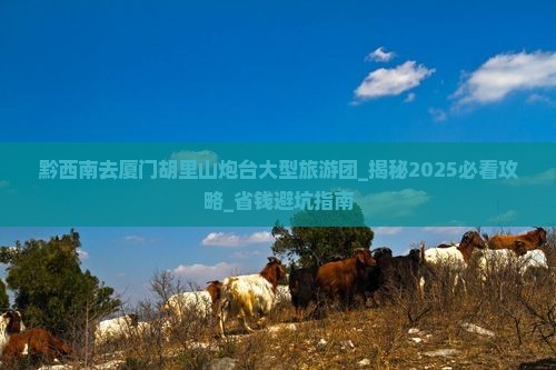 黔西南去厦门胡里山炮台大型旅游团 黔西南去厦门胡里山炮台大型旅游团