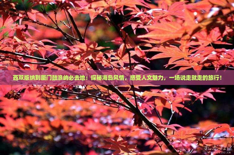 西双版纳到厦门鼓浪屿必去地