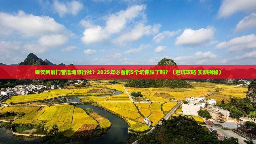 泰安到厦门曾厝埯旅行社