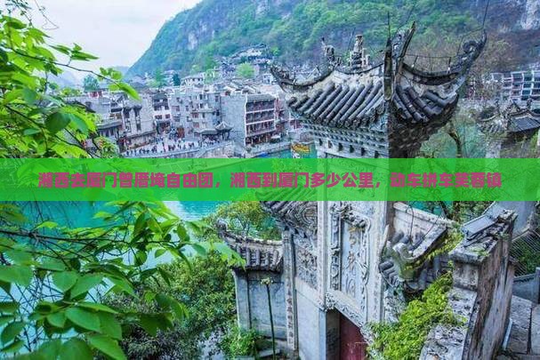 湘西去厦门曾厝埯自由团