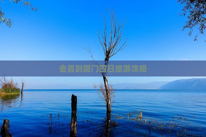 金昌到厦门四日游