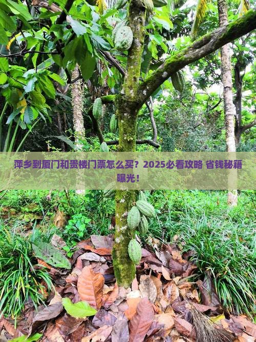 萍乡到厦门和贵楼门票