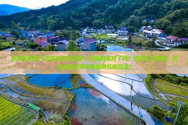 五家渠到厦门菽庄花园五日游