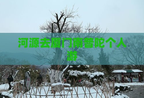 河源去厦门南普陀个人游