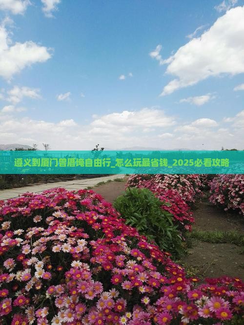 遵义到厦门曾厝埯自由行