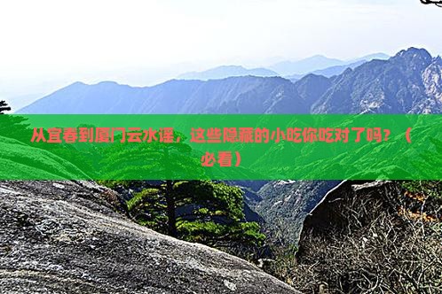 宜春到厦门云水谣旅游小吃