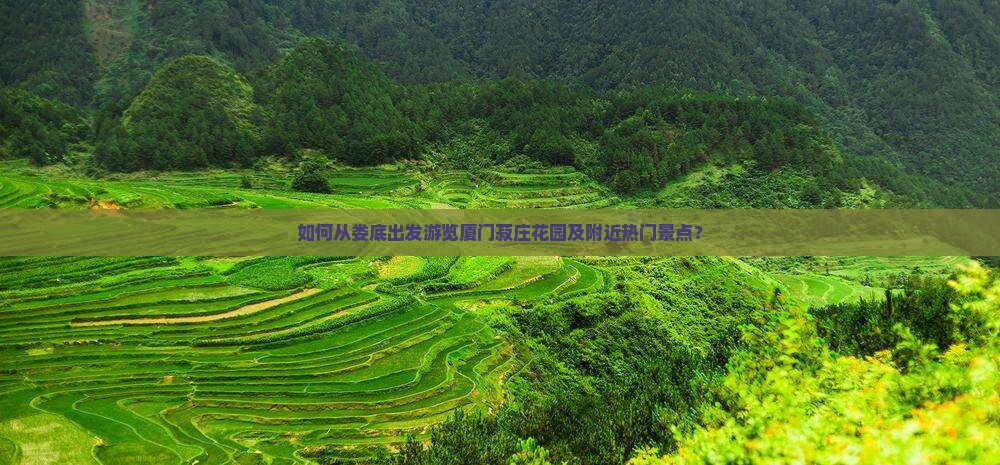 娄底去厦门菽庄花园哪里玩