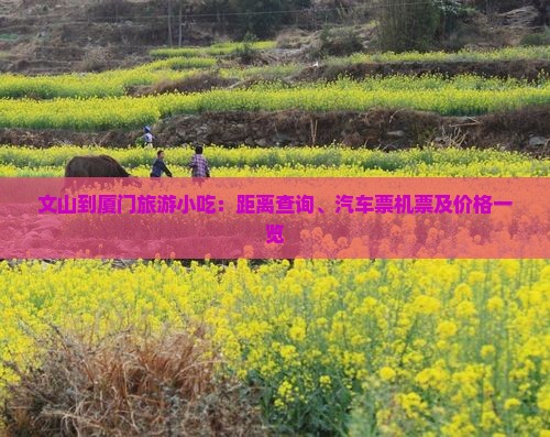 文山到厦门旅游小吃 文山到厦门旅游小吃