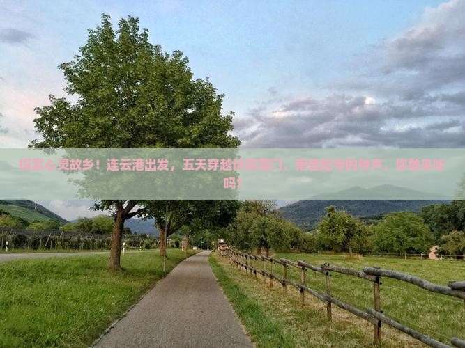 连云港去厦门南普陀五日游 连云港去厦门南普陀五日游