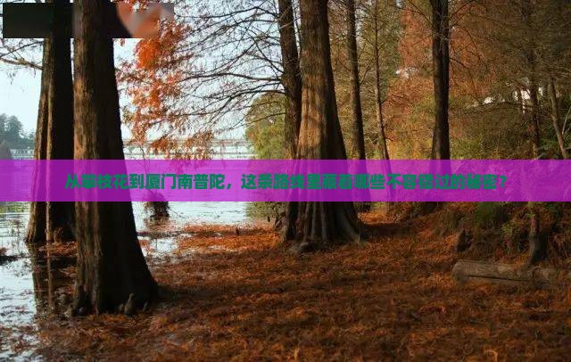 攀枝花到厦门南普陀必去地
