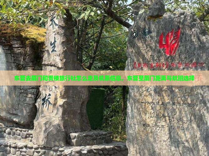 东营去厦门和贵楼旅行社