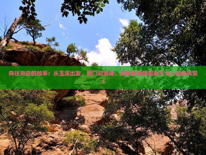 玉溪去厦门和贵楼哪里玩