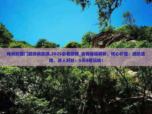 株洲到厦门鼓浪屿旅游