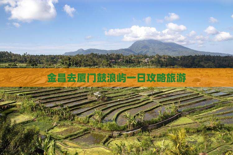 金昌去厦门鼓浪屿一日 金昌去厦门鼓浪屿一日