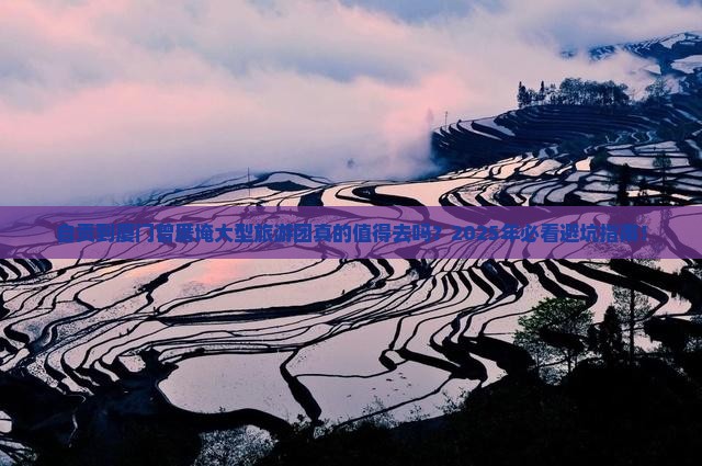 自贡到厦门曾厝埯大型旅游团